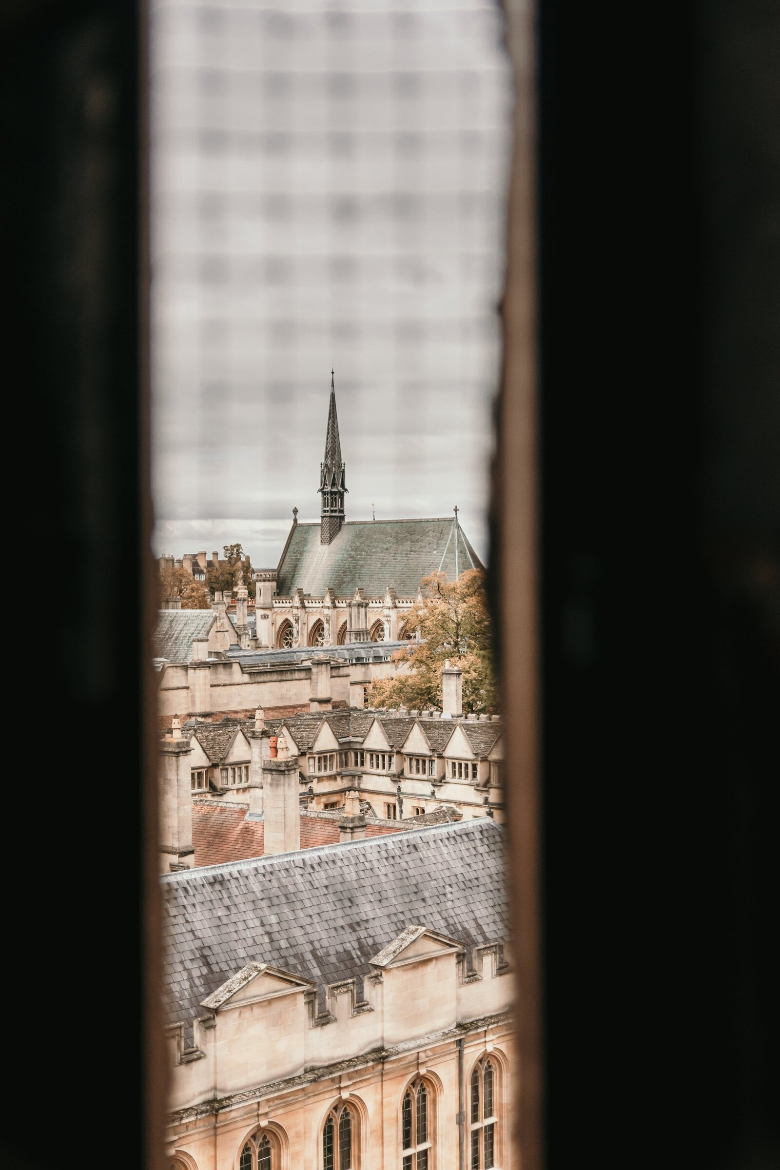 theodor-vasile-av07YKTH5m8-unsplash