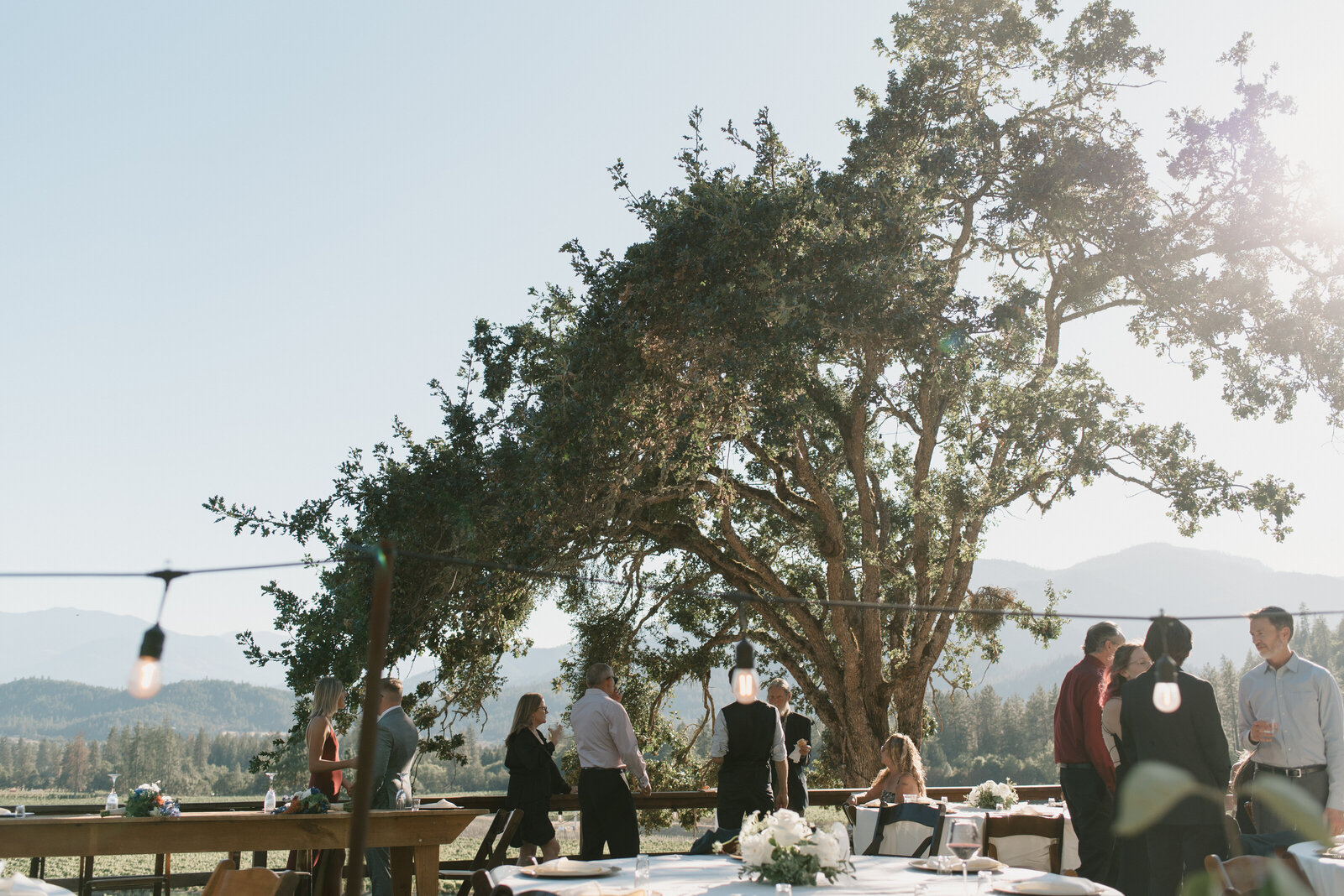 wedding reception photo  at a winery in Southern Oregon