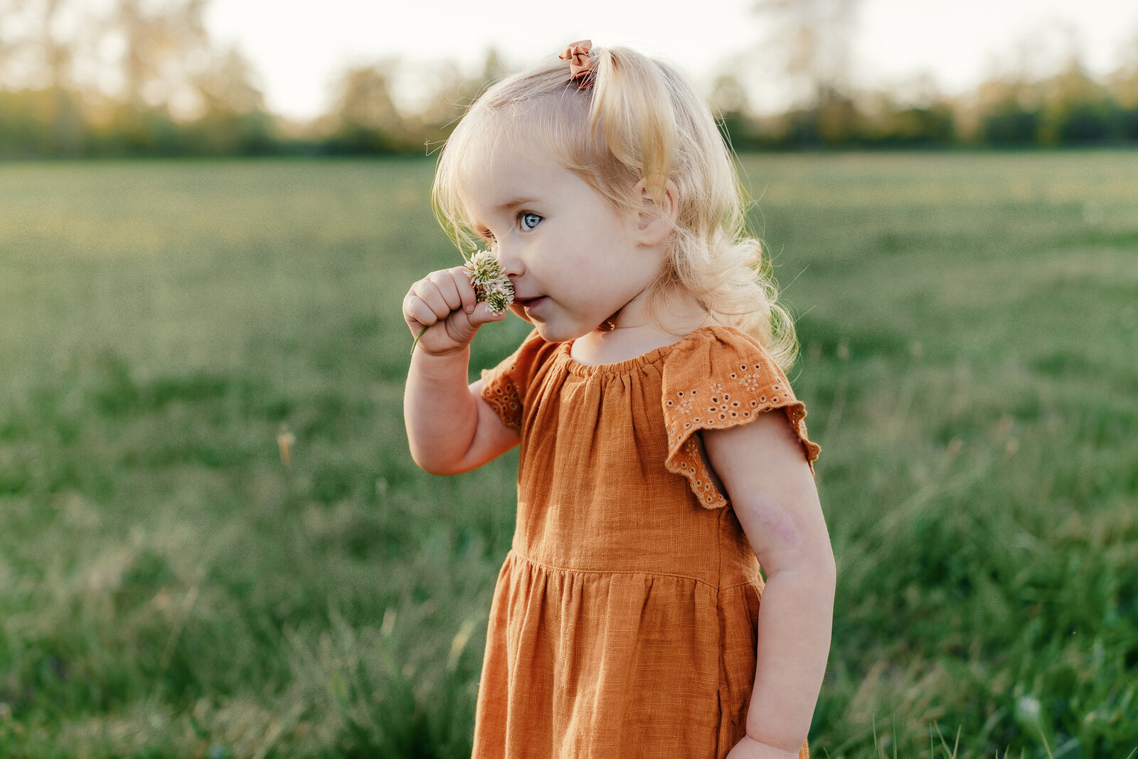 Bellingham Family Photography-506