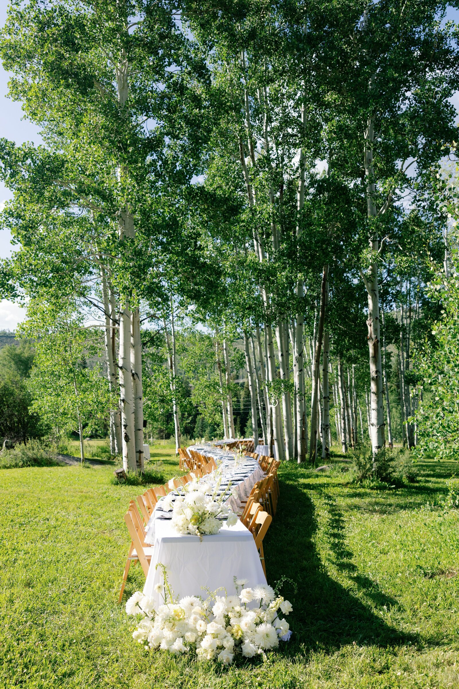 cassidymichael_coloradowedding_stillsbytrinity-12