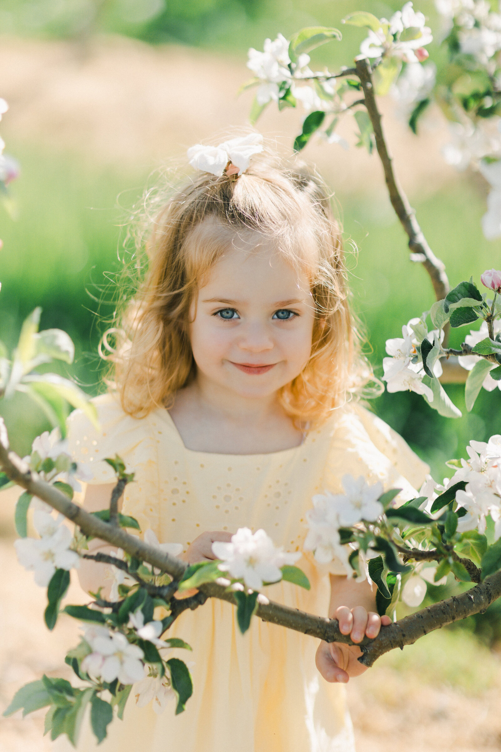 Terri-Lynn Warren Photography Halifax Family Photographer Apple Blossom Minis-1186