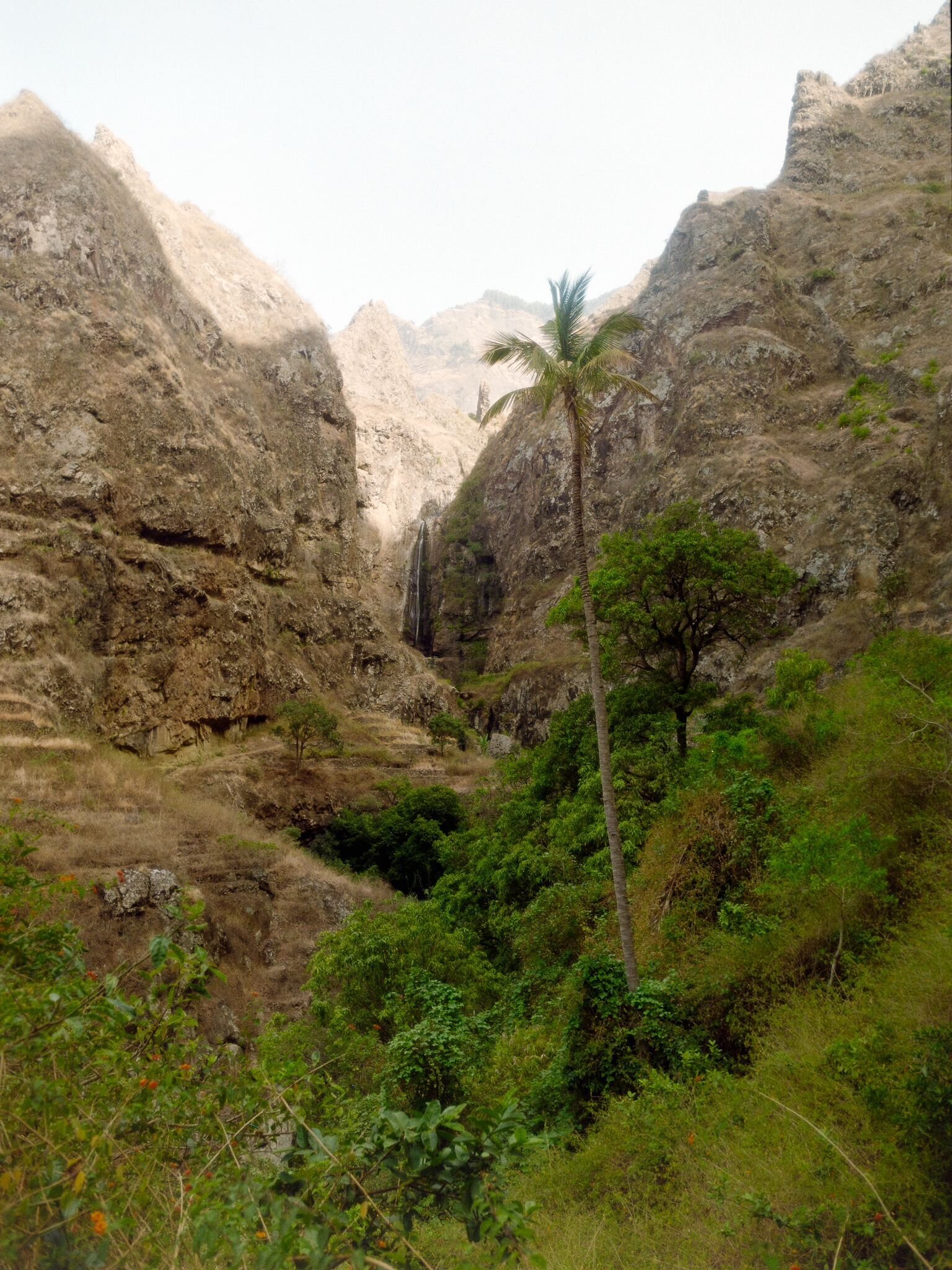 c2cf2096-804d-46af-bd4e-c88e47f3fd22