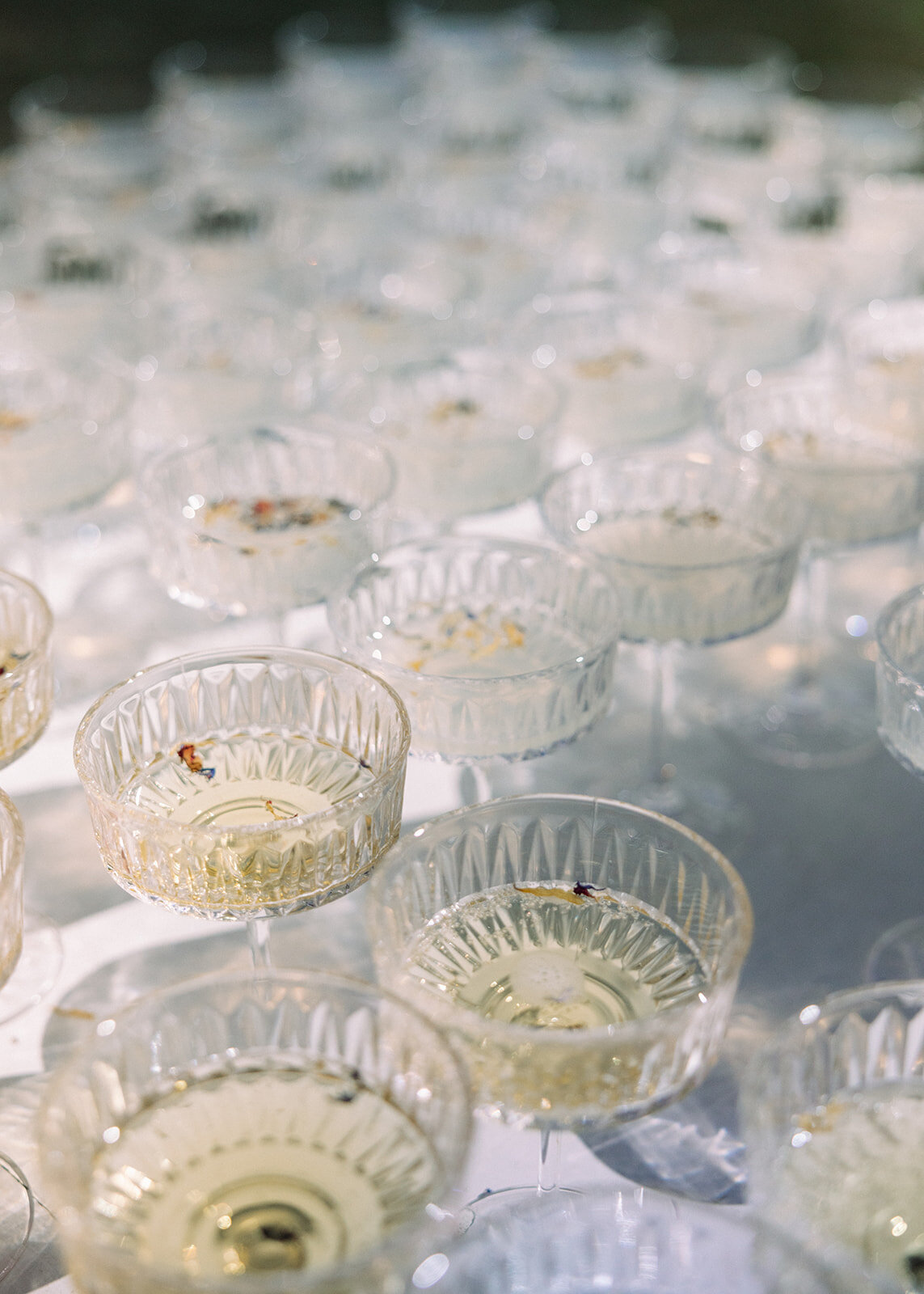 zoya-dawn-homer-alaska-film-wedding-photographer-289