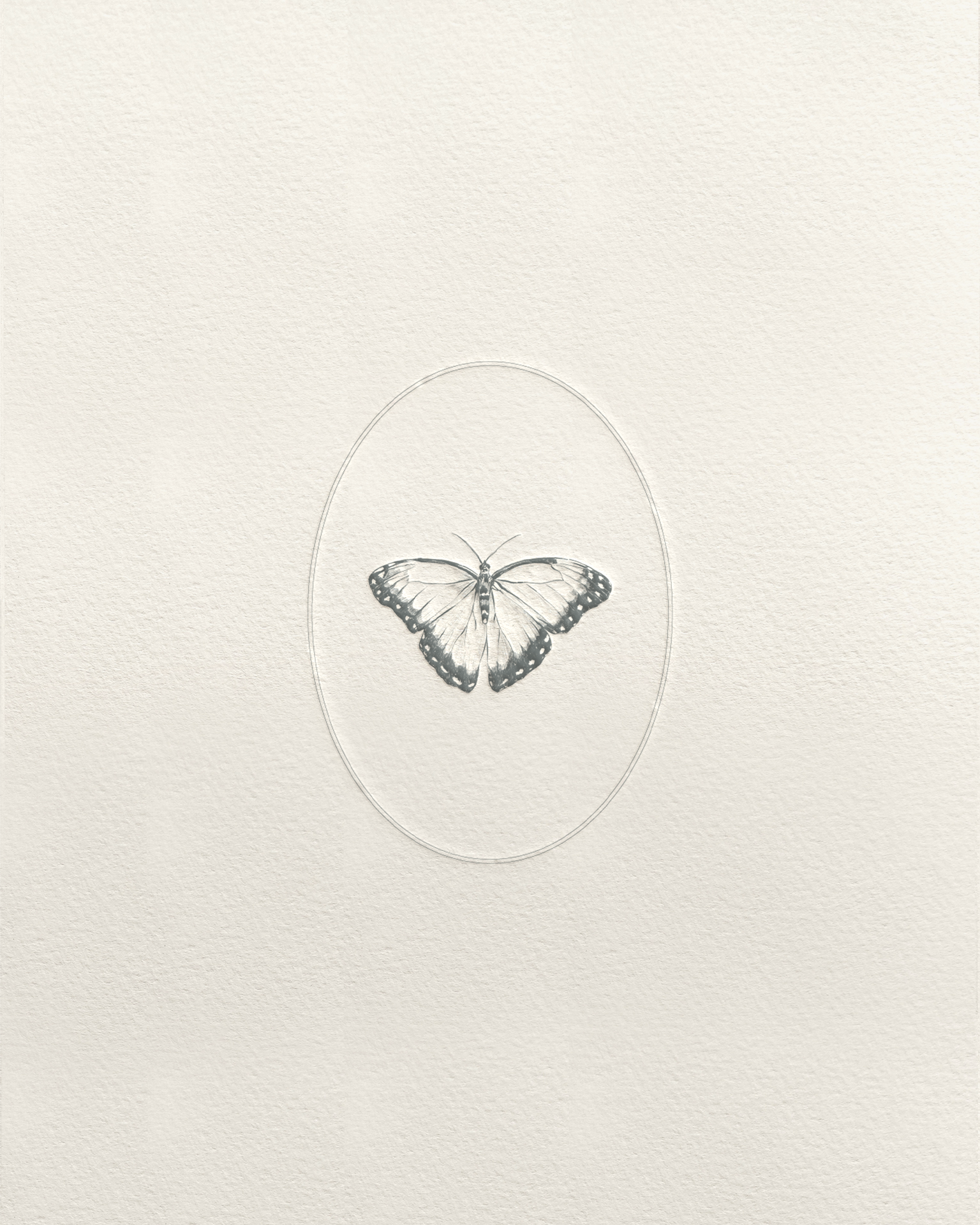 Butterfly Motif