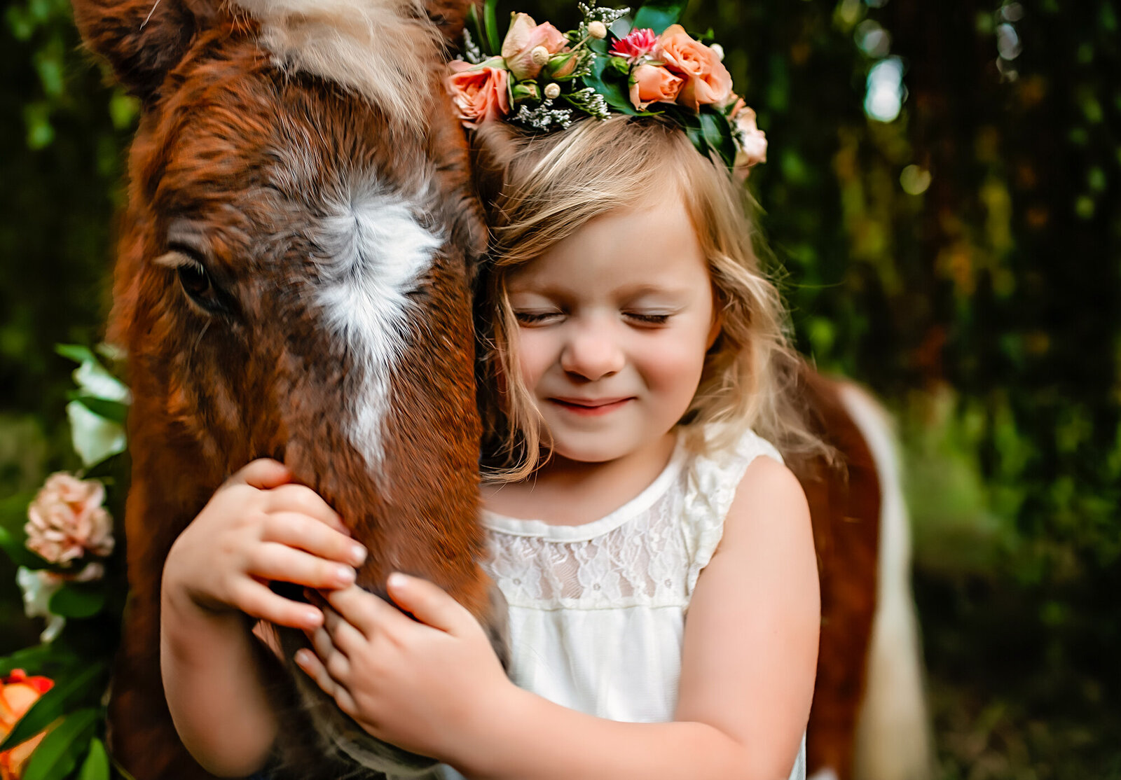 Northern California Equine Portraits
