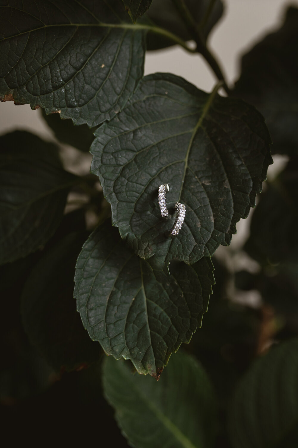 20250404-Meg+Mac-Mad-For-You-Creative-132