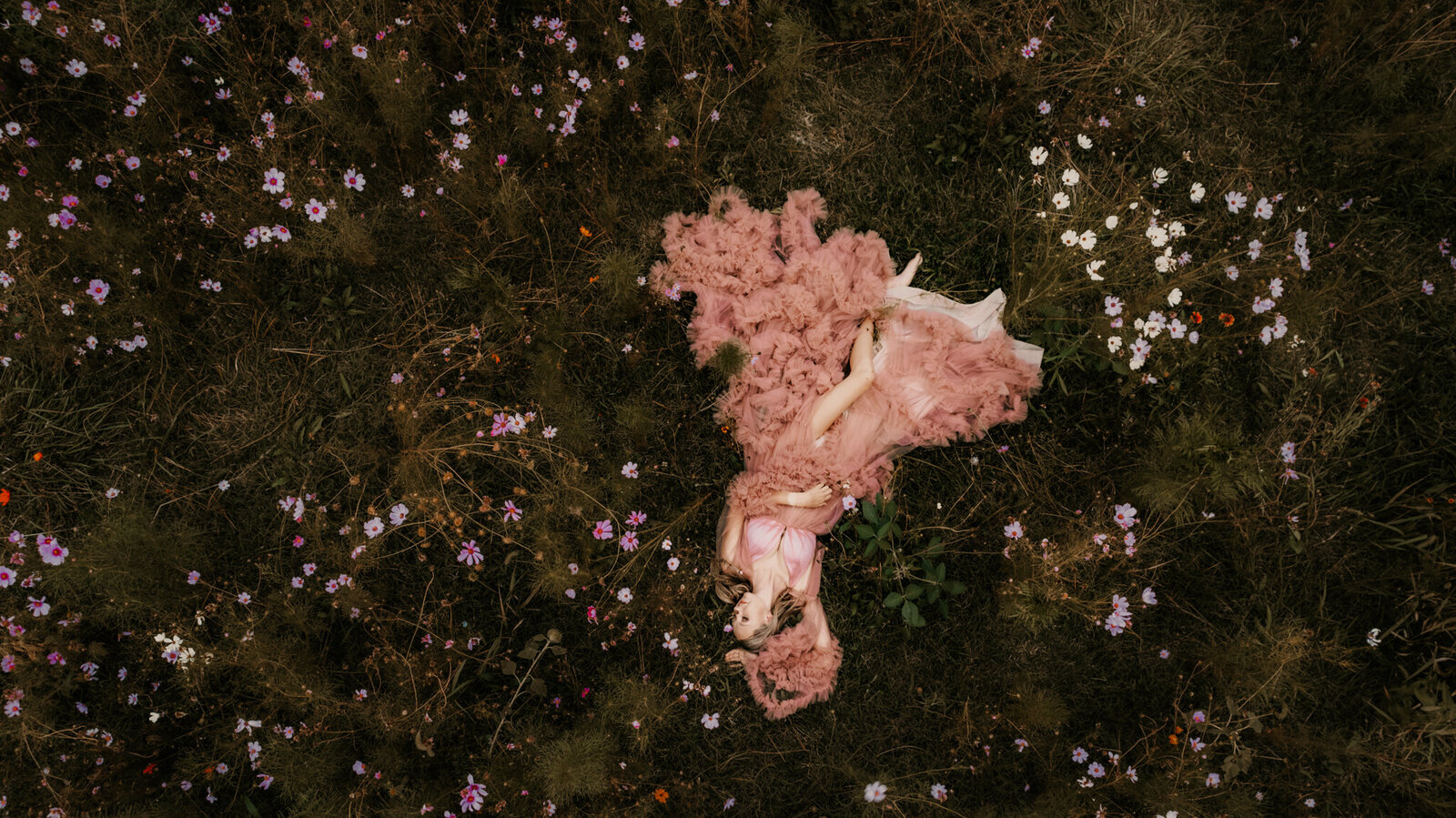 finaldroneabbi