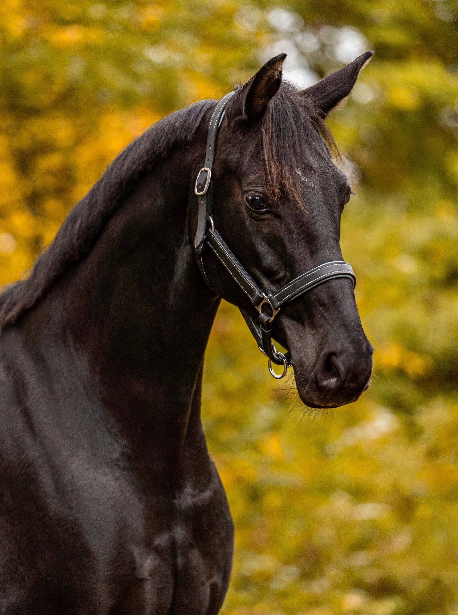 Portretfoto door Cheyenne Vlottes (6)