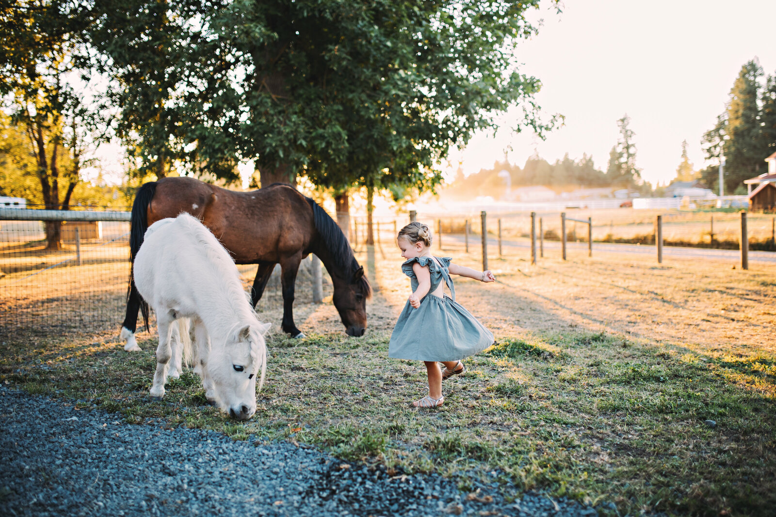 WhitneyBairdPhotography_Rich_August2023_15r