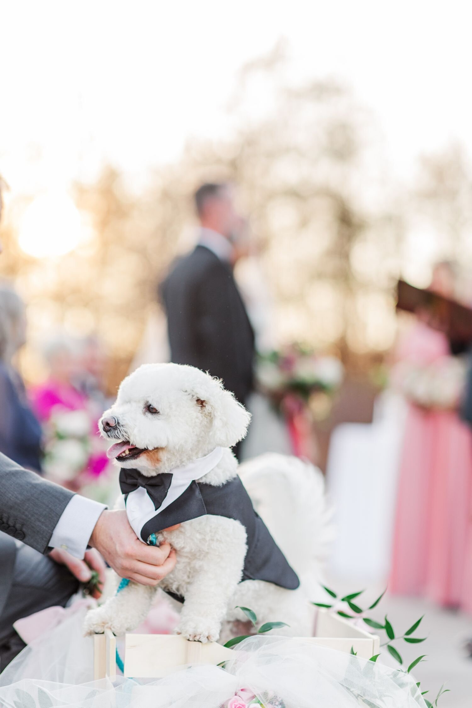 wedding-planner-greenville-sc-47