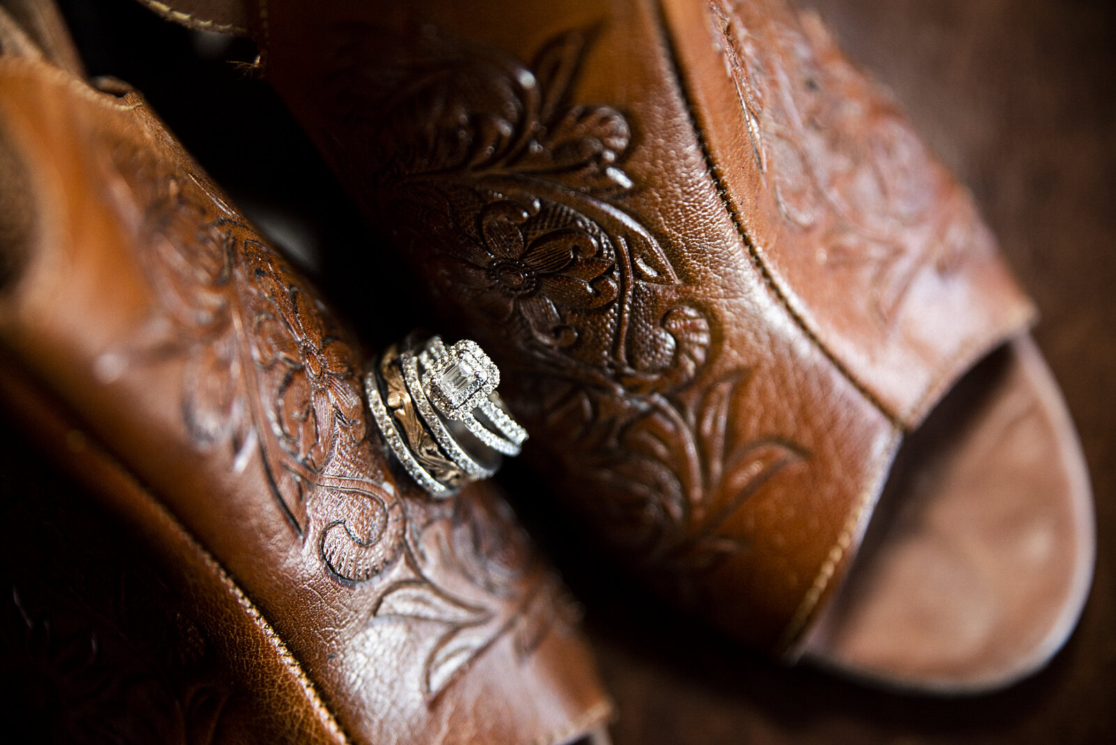 OCF Collection 183
