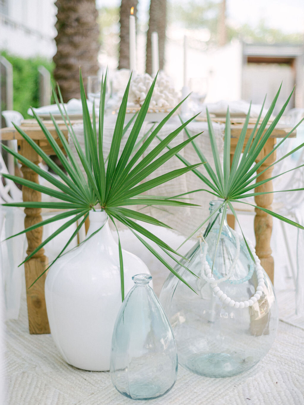 Palm leaves for summer