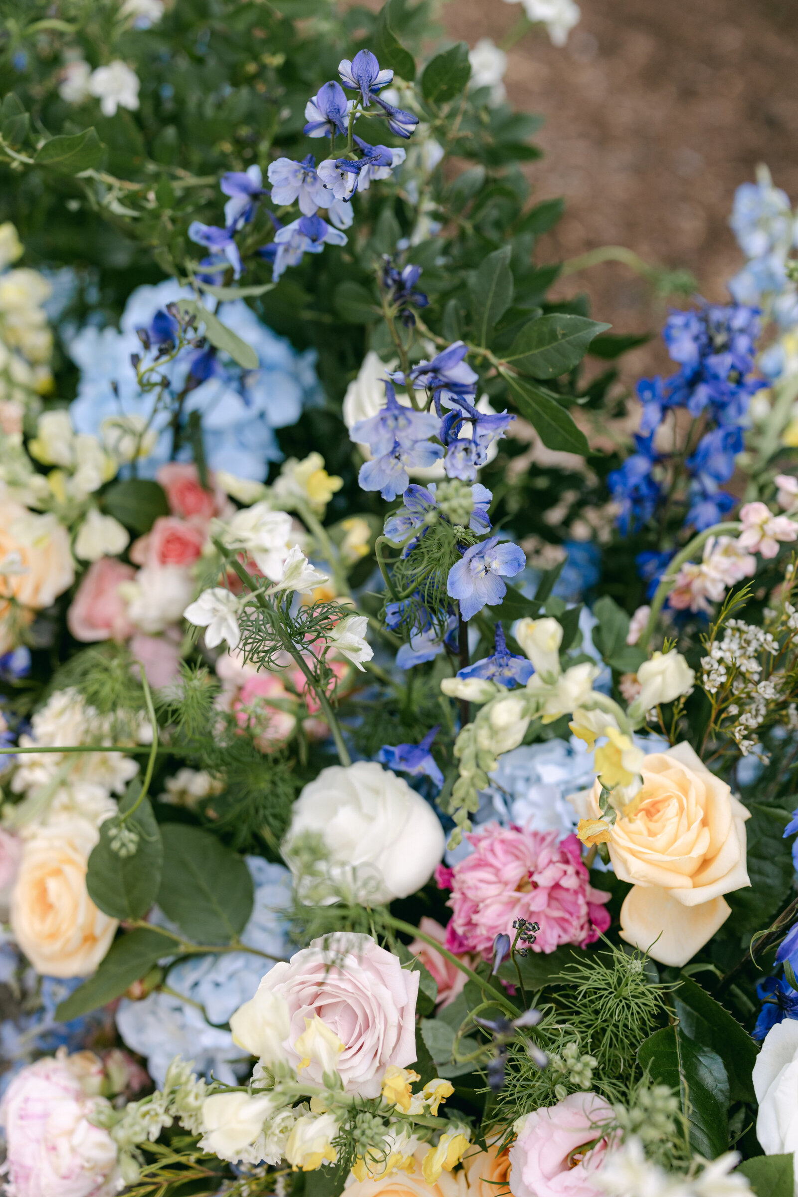 Claire&DavidWedding-795