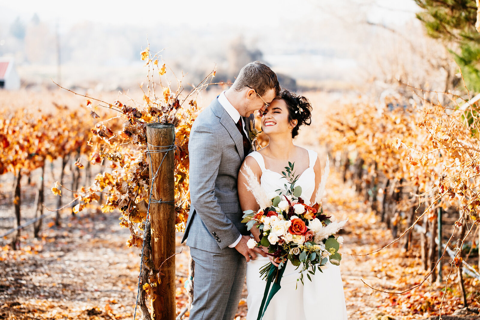 Bride and groom sitting in a vineyard kissing in Iowa