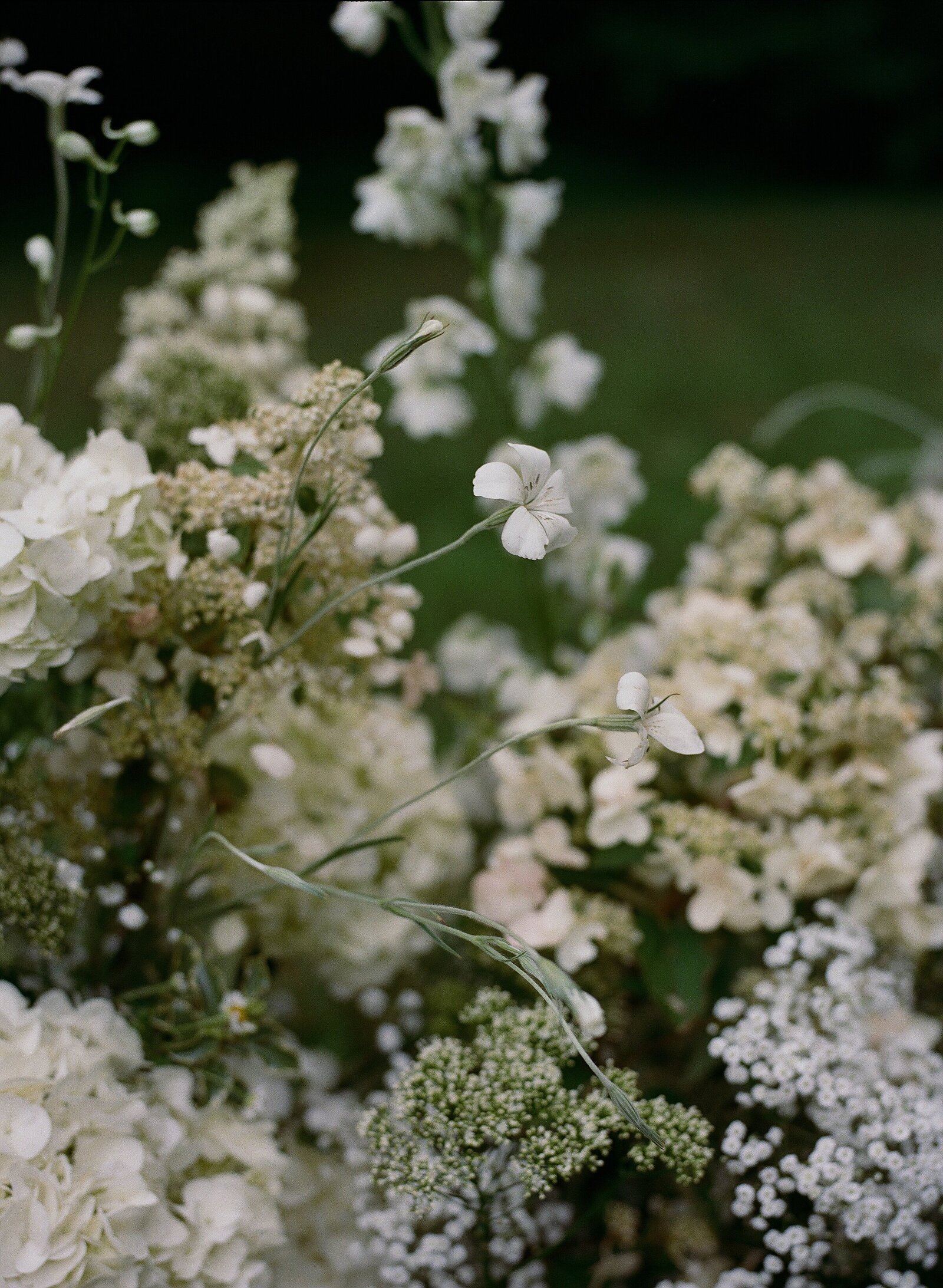2024.07.20 Jaimie and Risten_Details-40