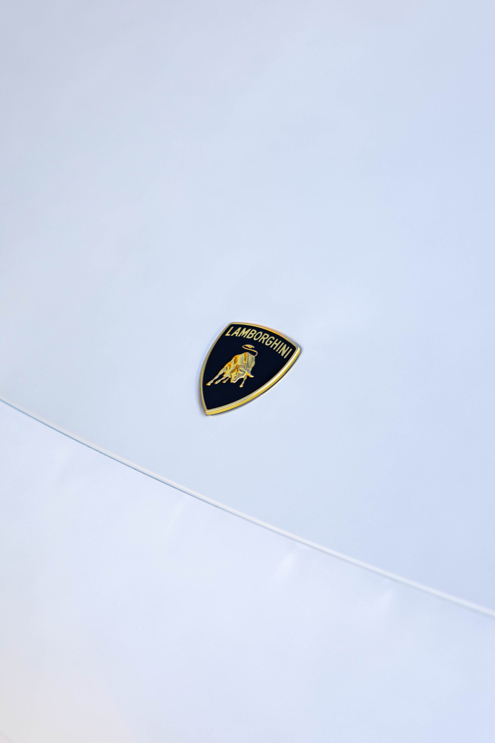 White Lamborghini Murci Paint Correction Full Body PPF Exterior Interior Detailing Le Mans Detailing Markham Toronto 14