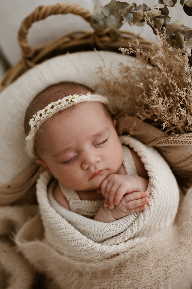 Newborn PhotographySydney photo-55