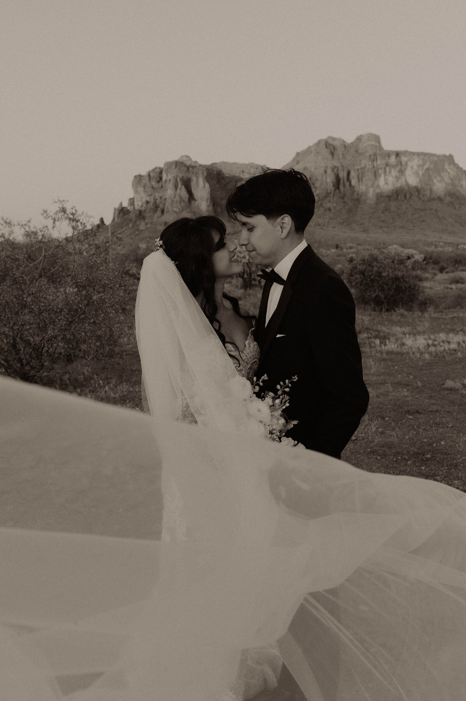TheCarmonasWeddingAZ-1049