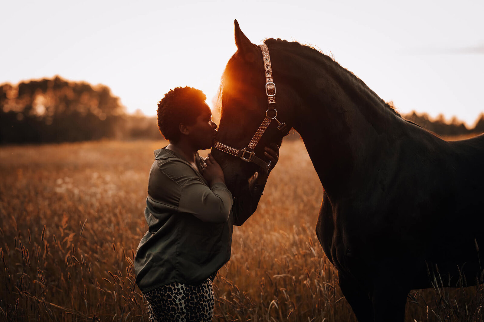JNSW-portret-paard