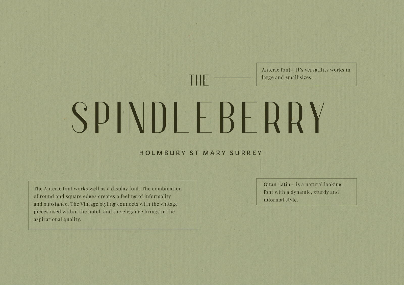 Spindleberry Main Logo