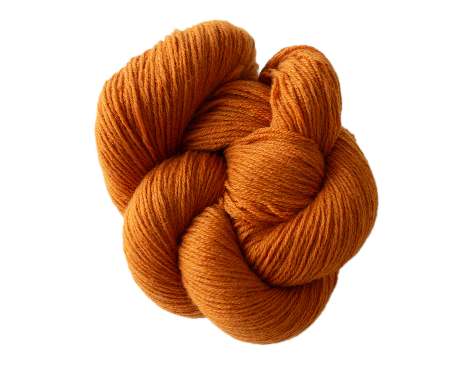 Clown Fish single skein transparent