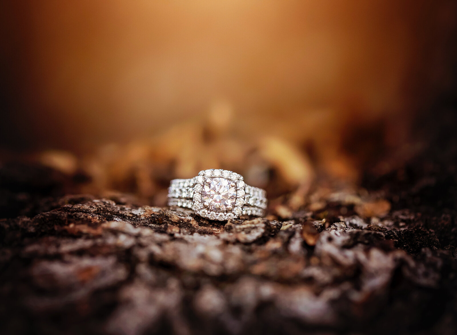 Yuba-City-Engagement-Photographer-9