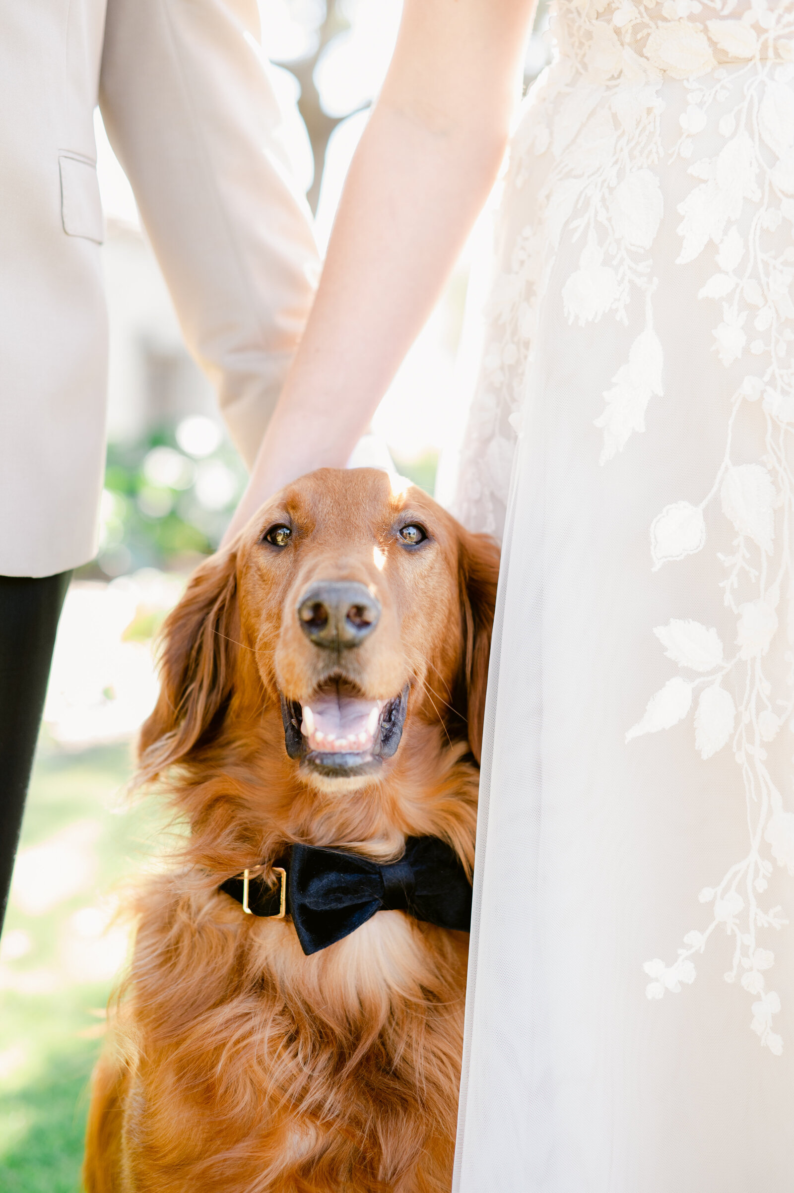 McCunePhotography-292