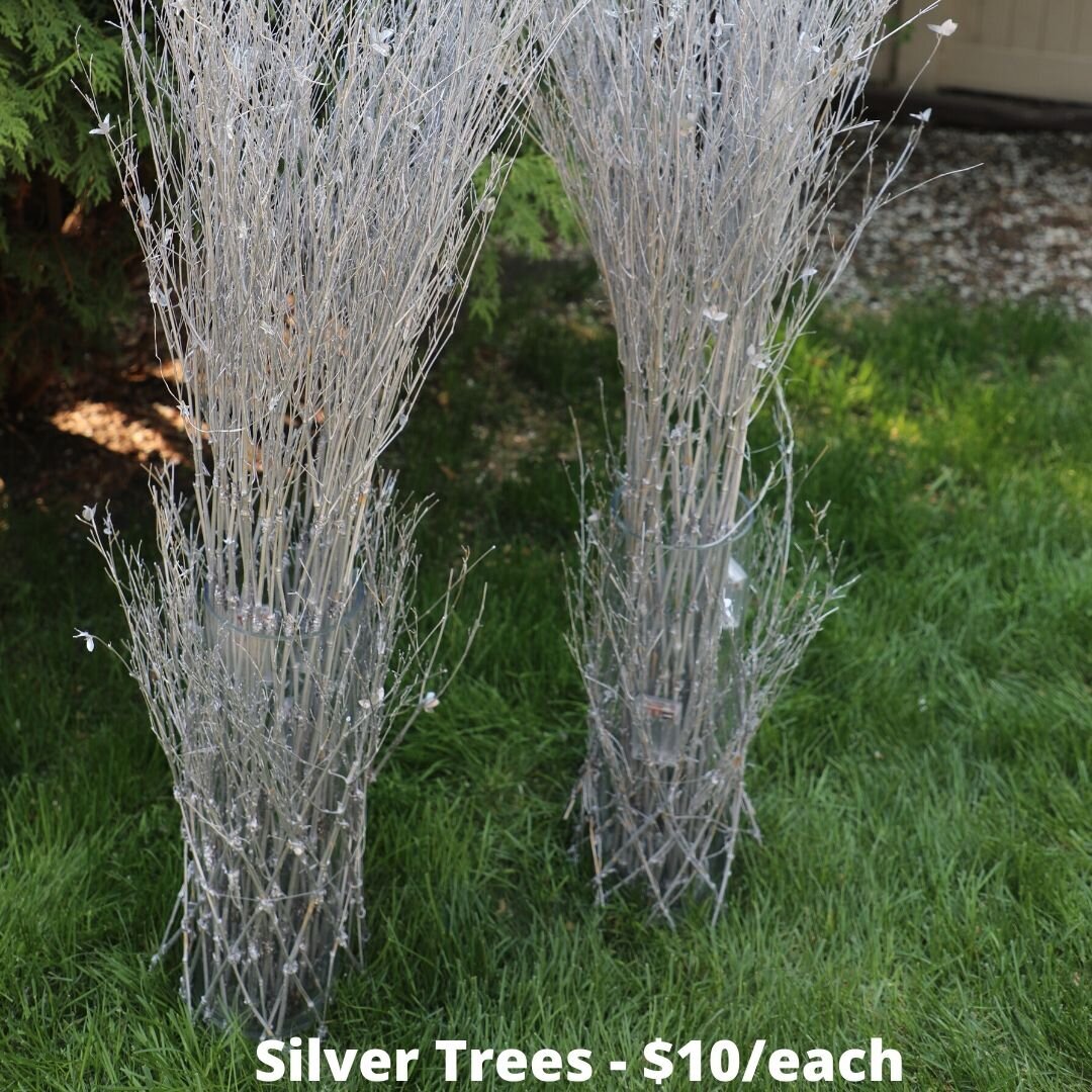 silver trees