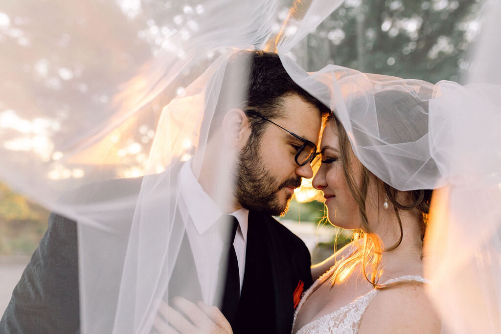 darylbattphotography-wedding-photography-wedding-veil