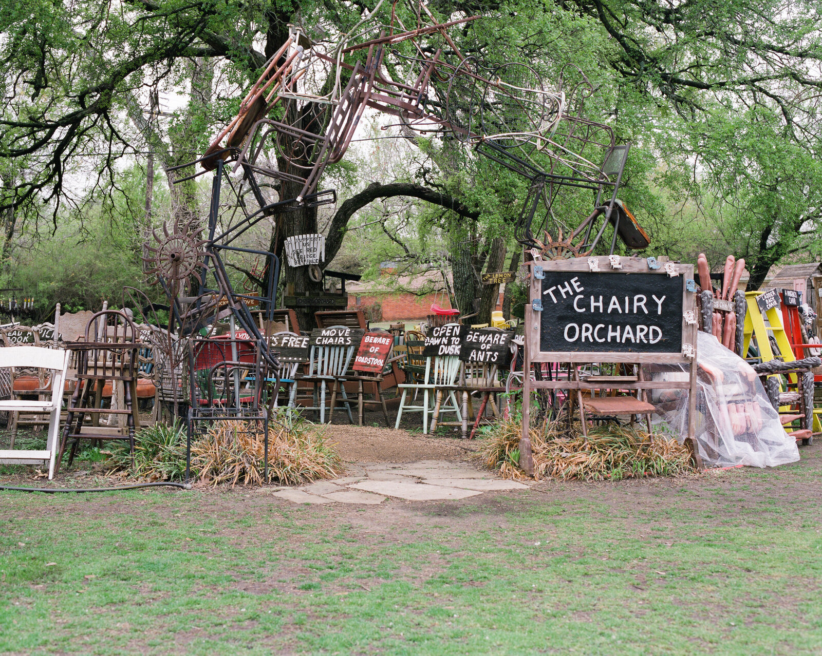 this-is-denton-final (68 of 103)