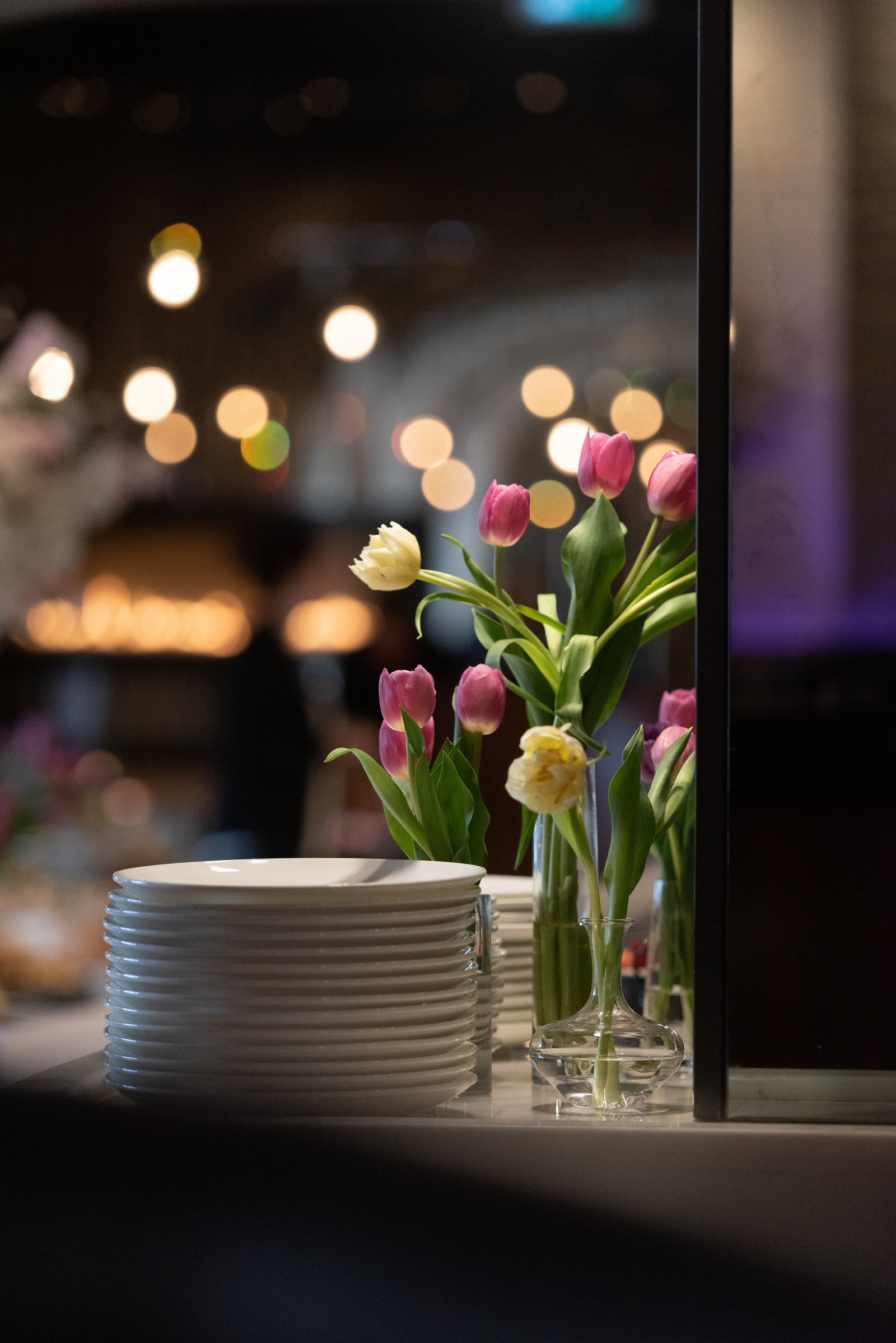 Wade_Muir_Photography_STK