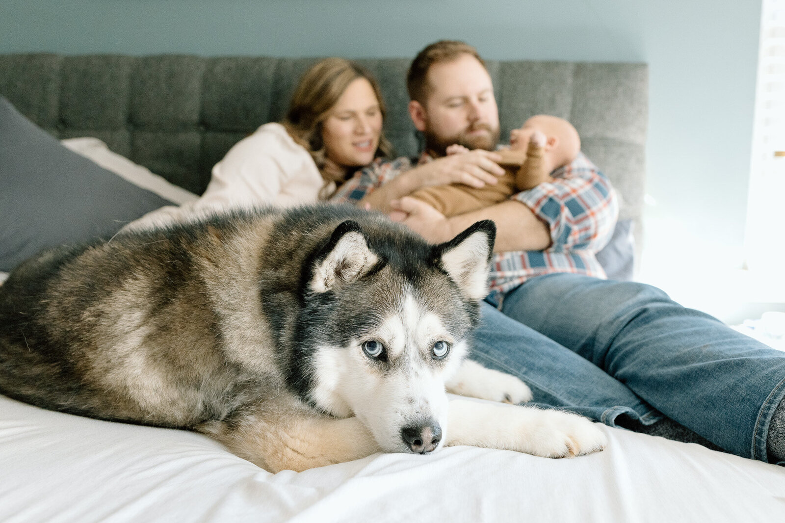 in-home-newborn-family-photography-dogs-nc-sc (10)