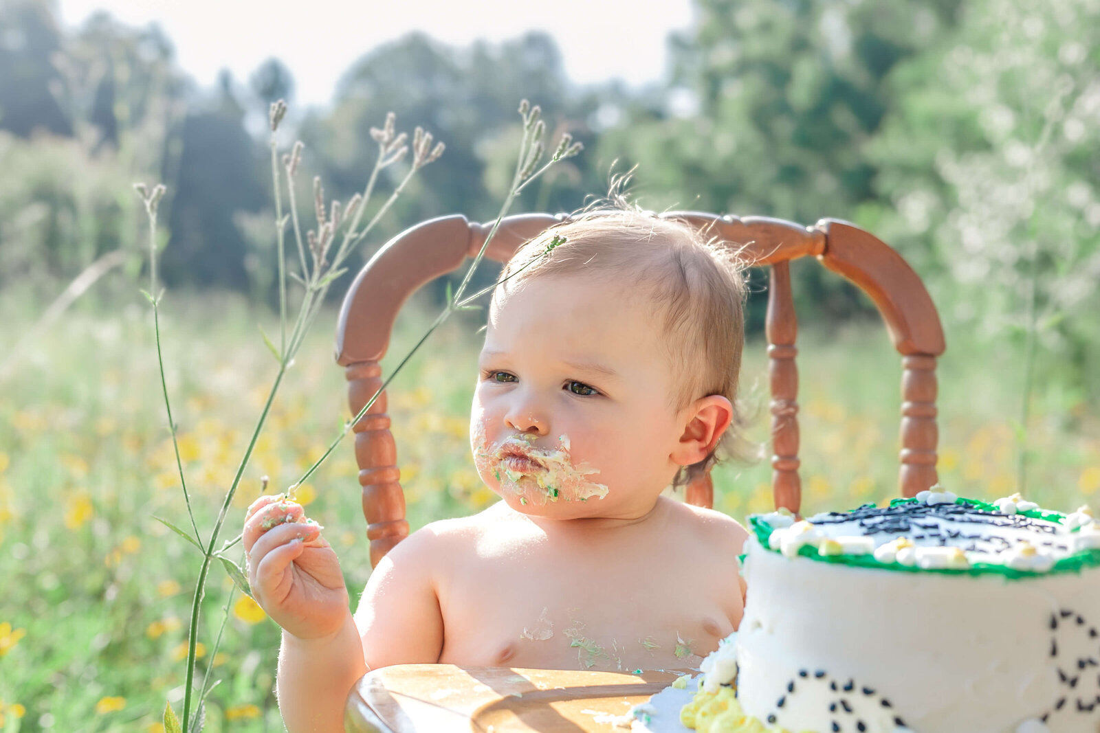 Mississippi-Cake-Smash-Photographer-13