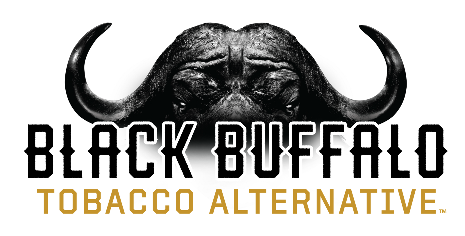 blackbuffalo_nic_logo_with bull