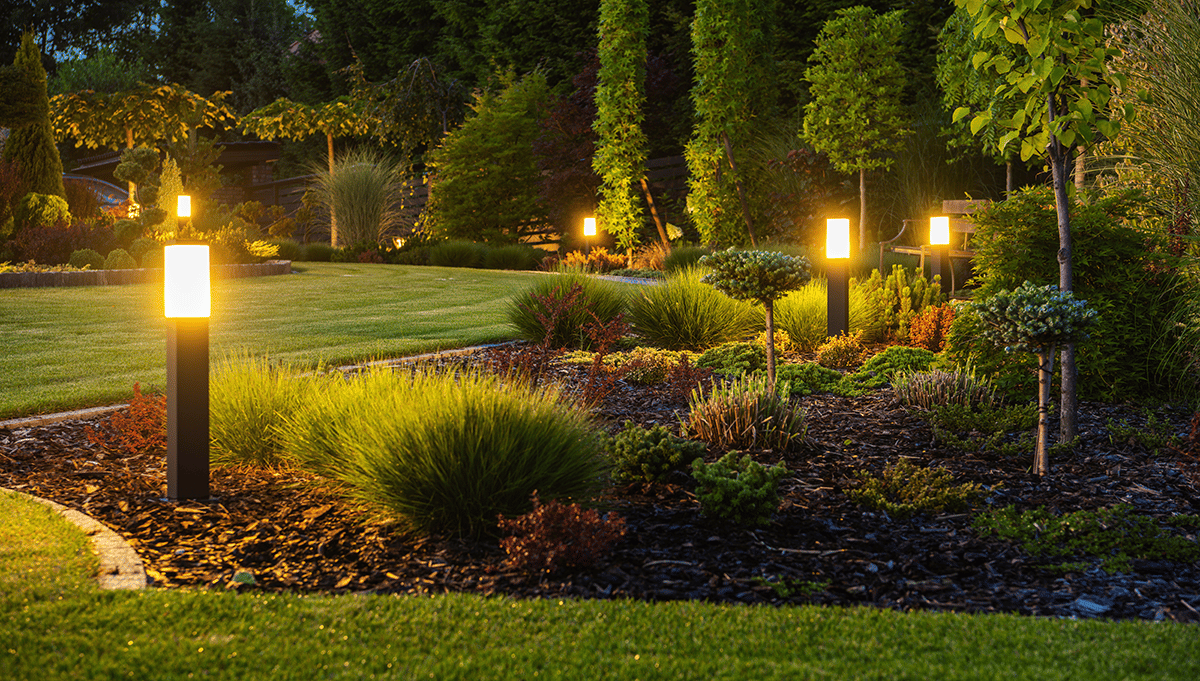7-Plants-for-Your-Central-Florida-Landscape-Design (1)