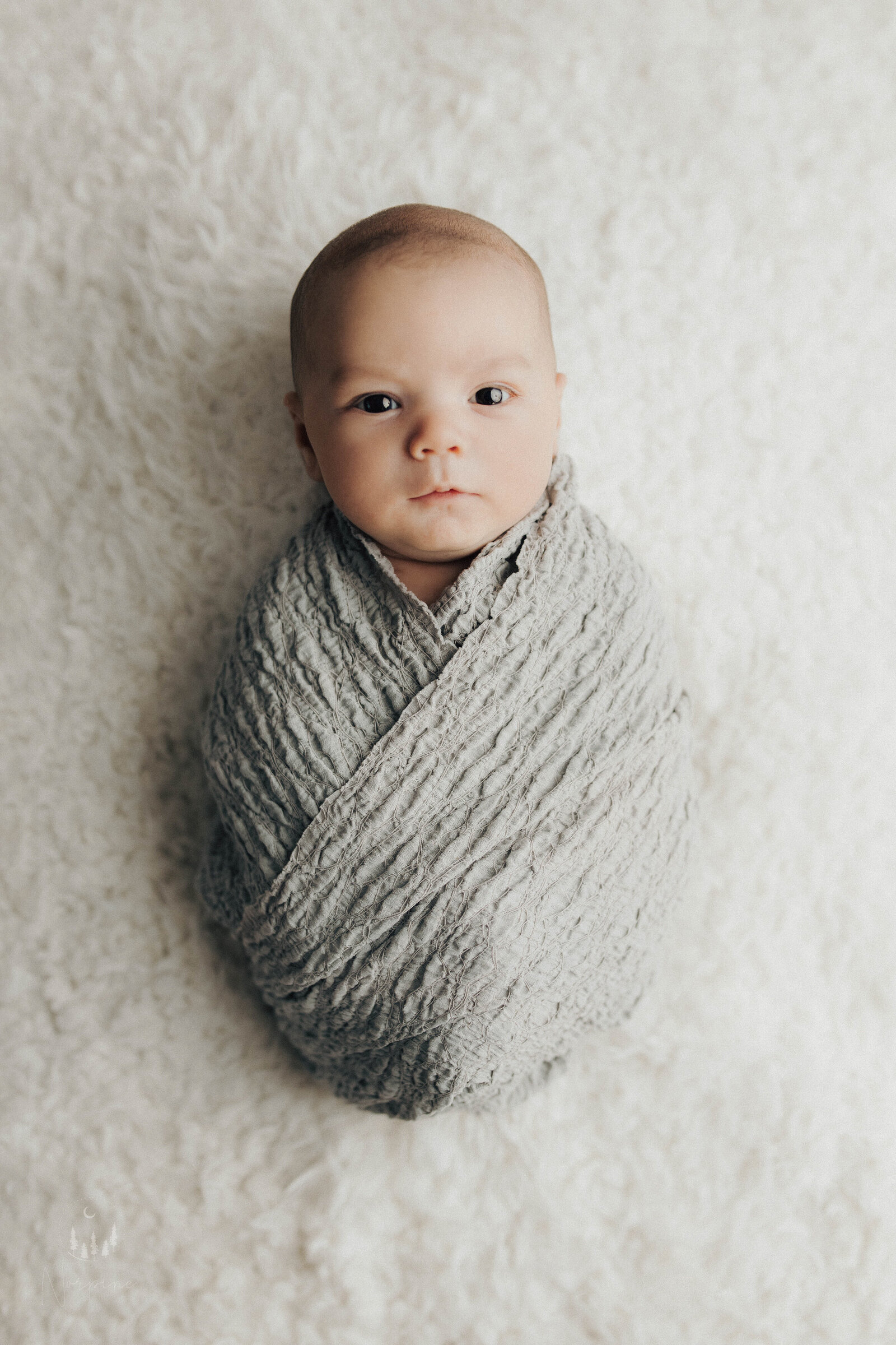 a newborn boy wrapped in gray on a white background, laying with eyes looking into the lens