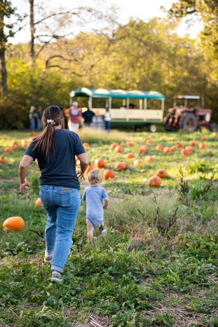 Pumpkin_Patch_Pigeon_Forge_TN