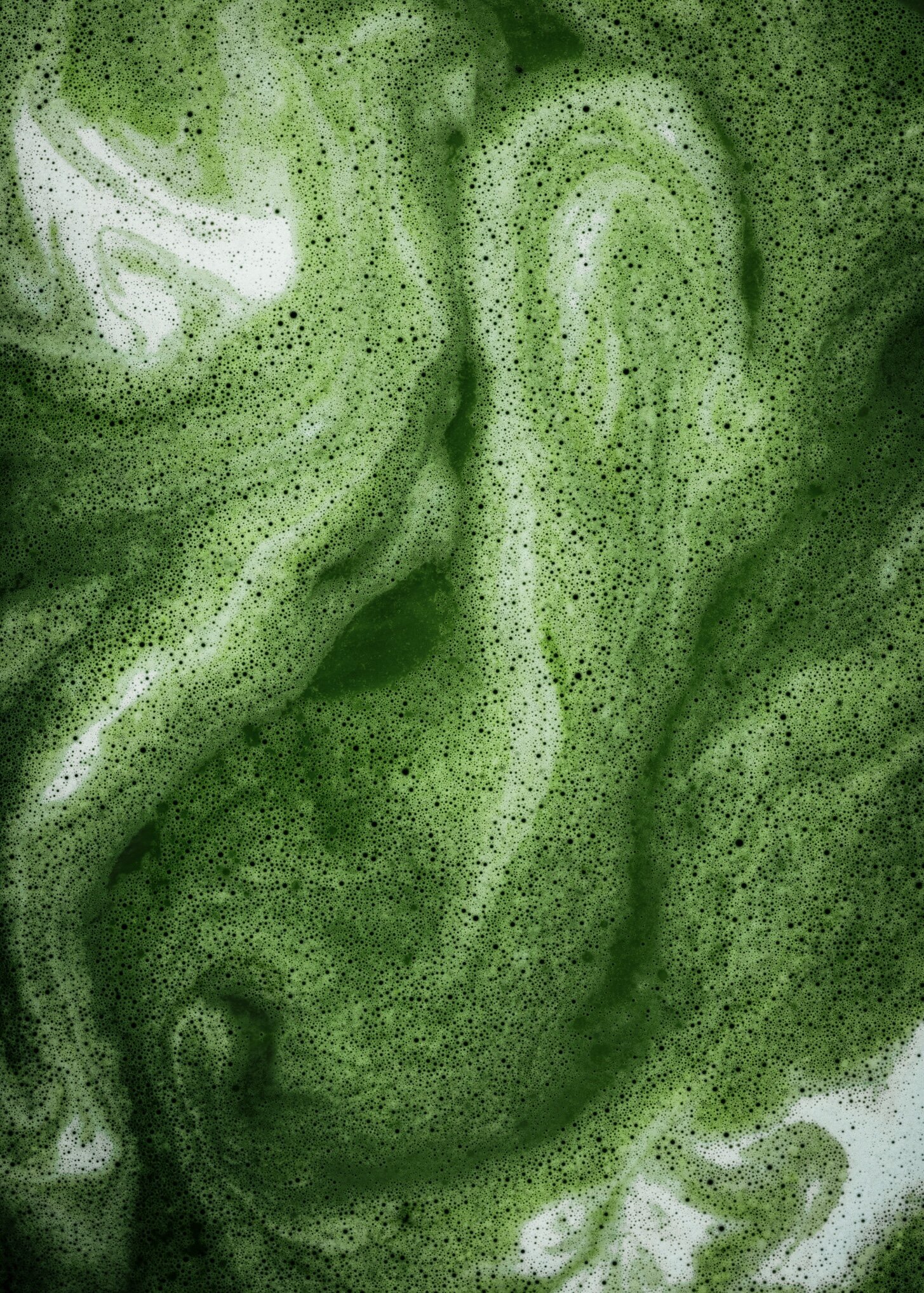 London-food-photografer-alicja-sieronski-matcha-textures