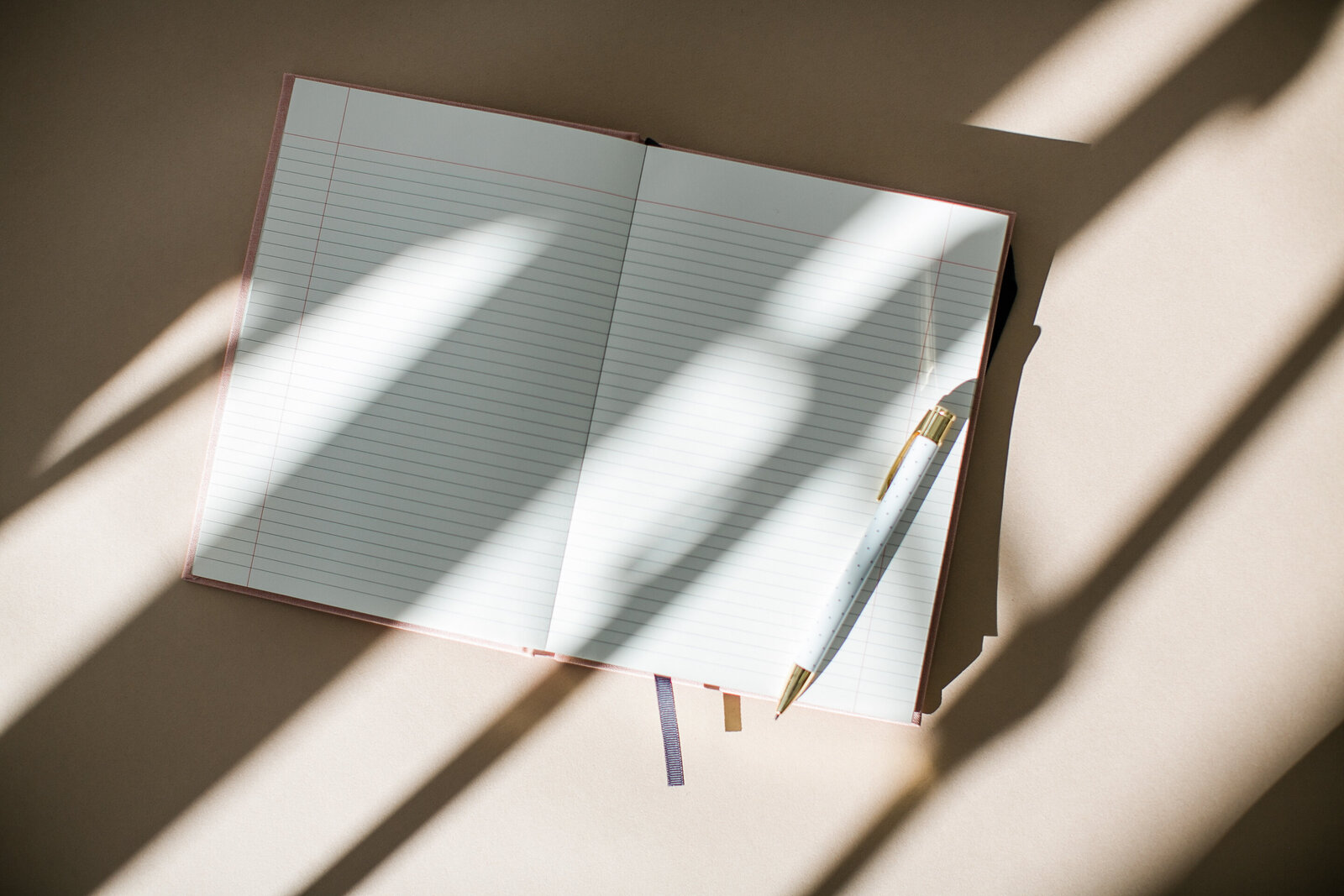 7806684-SC-02-2021-11