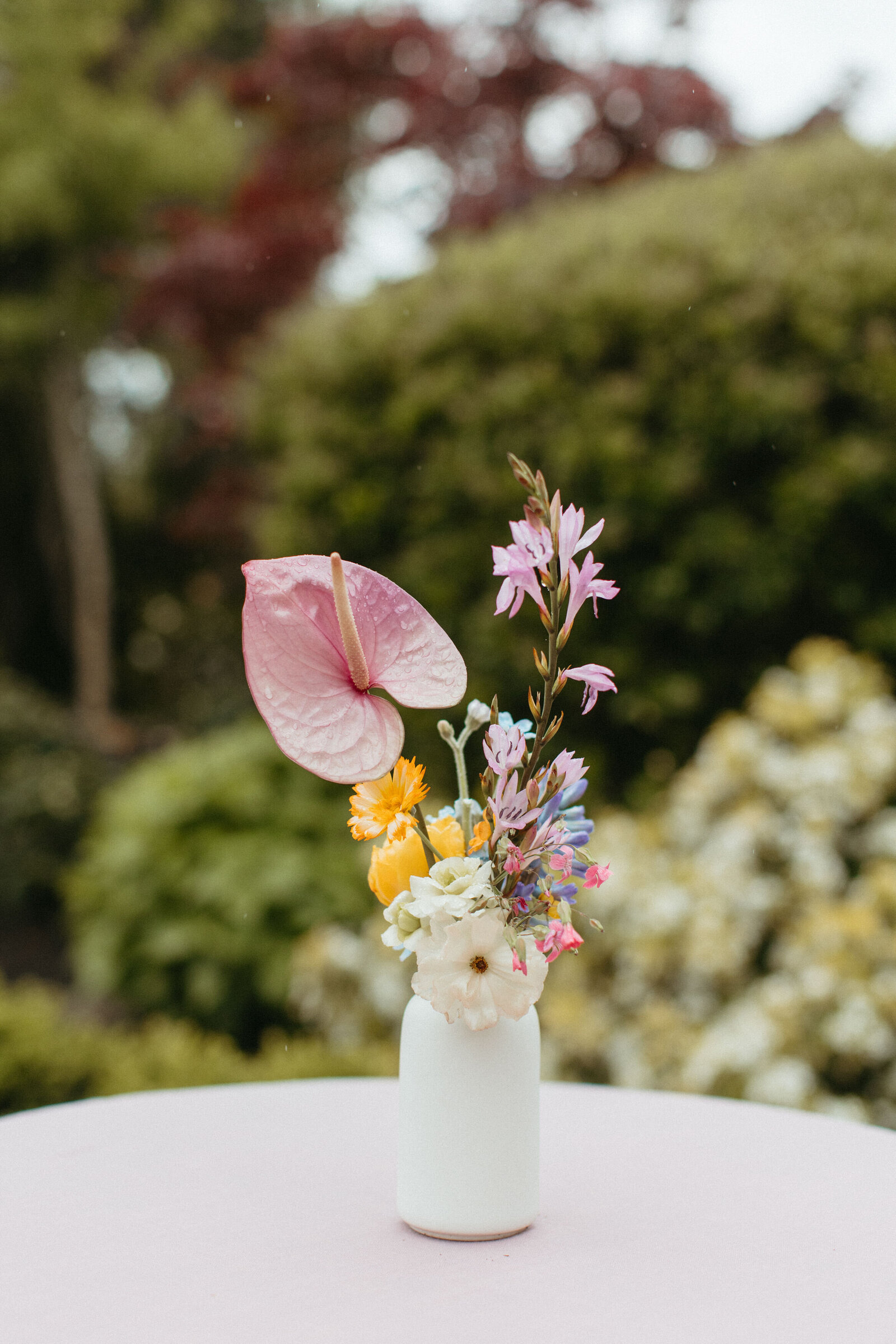 Persian Sonoma Wedding86