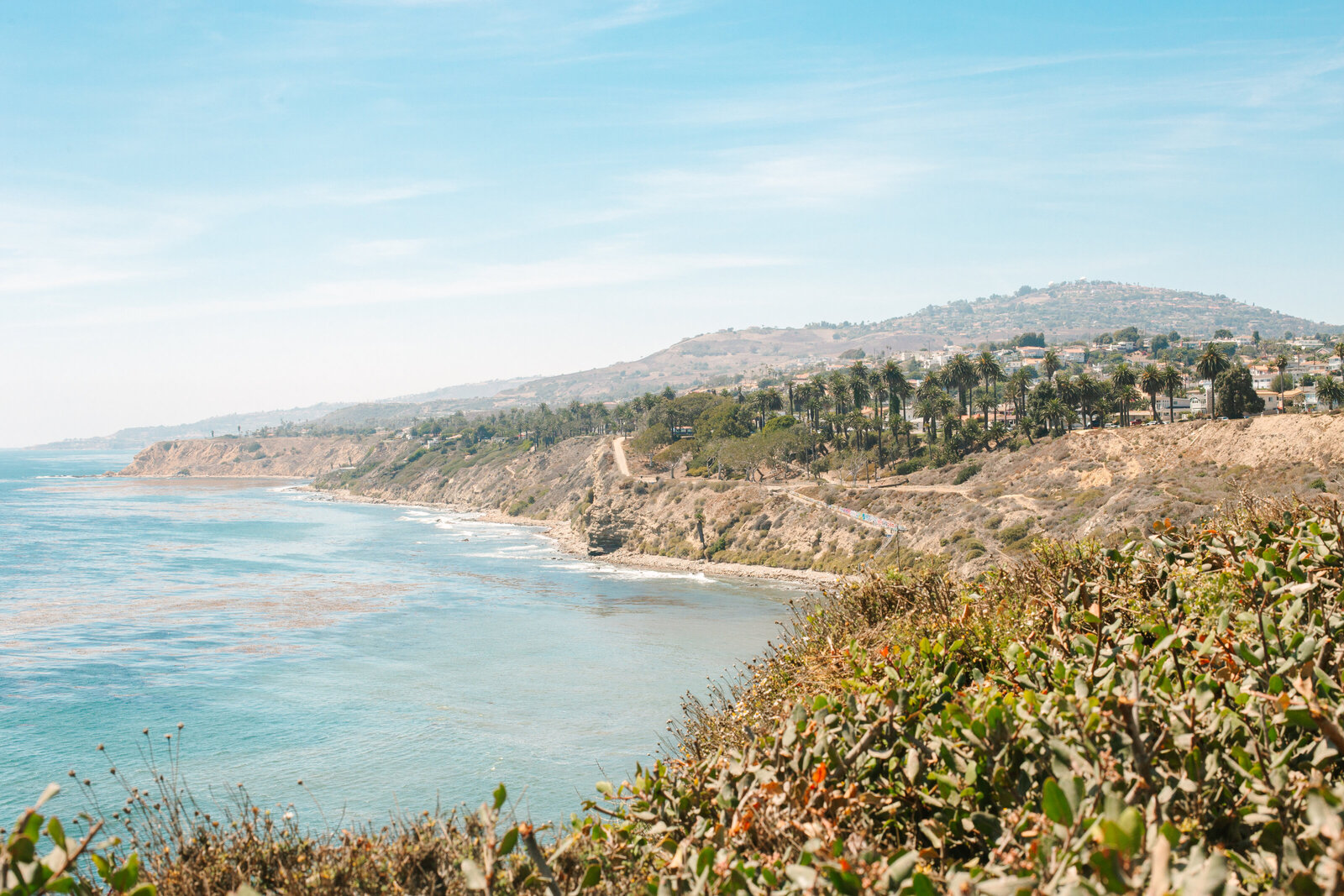 The Pacific Ocean is the backdrop for this Los Angeles summer wedding.