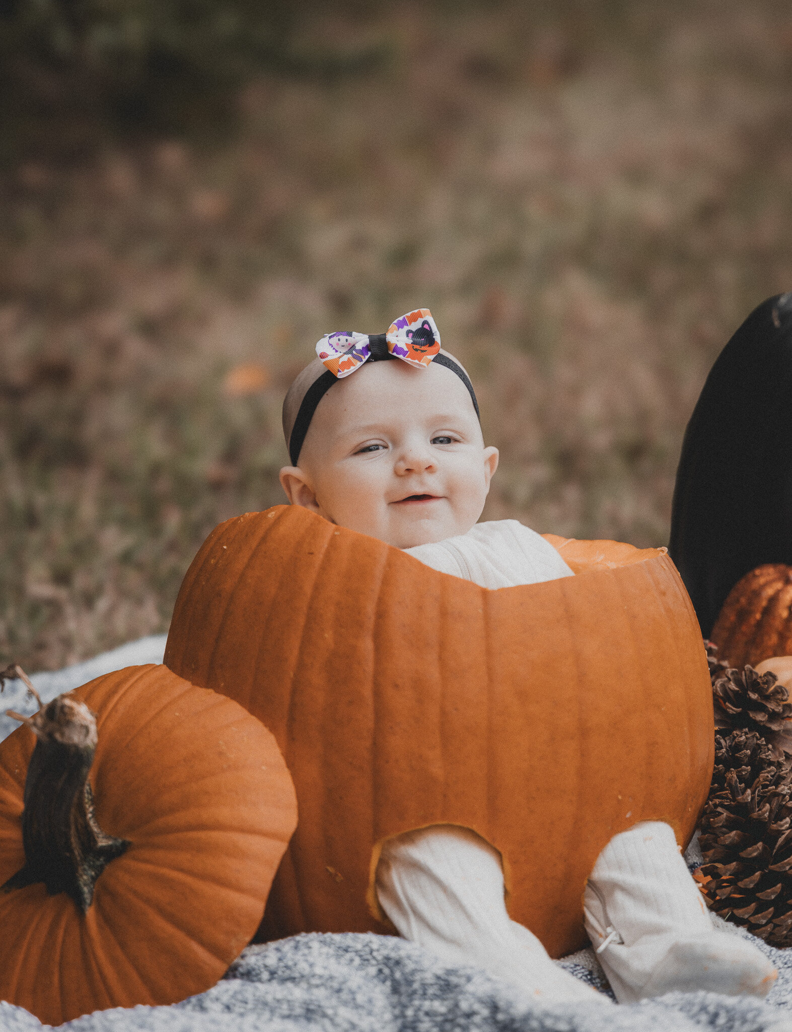 pumpkin baby fall portrait kansas city