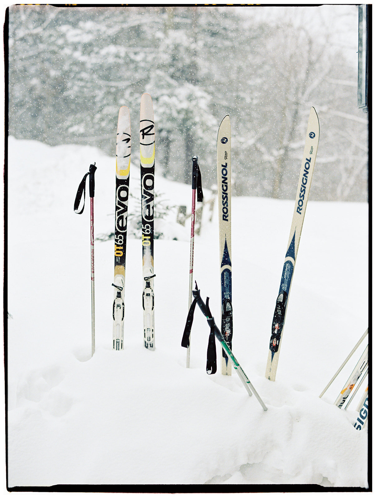 P65228ABam041803-R3-033-2_websize