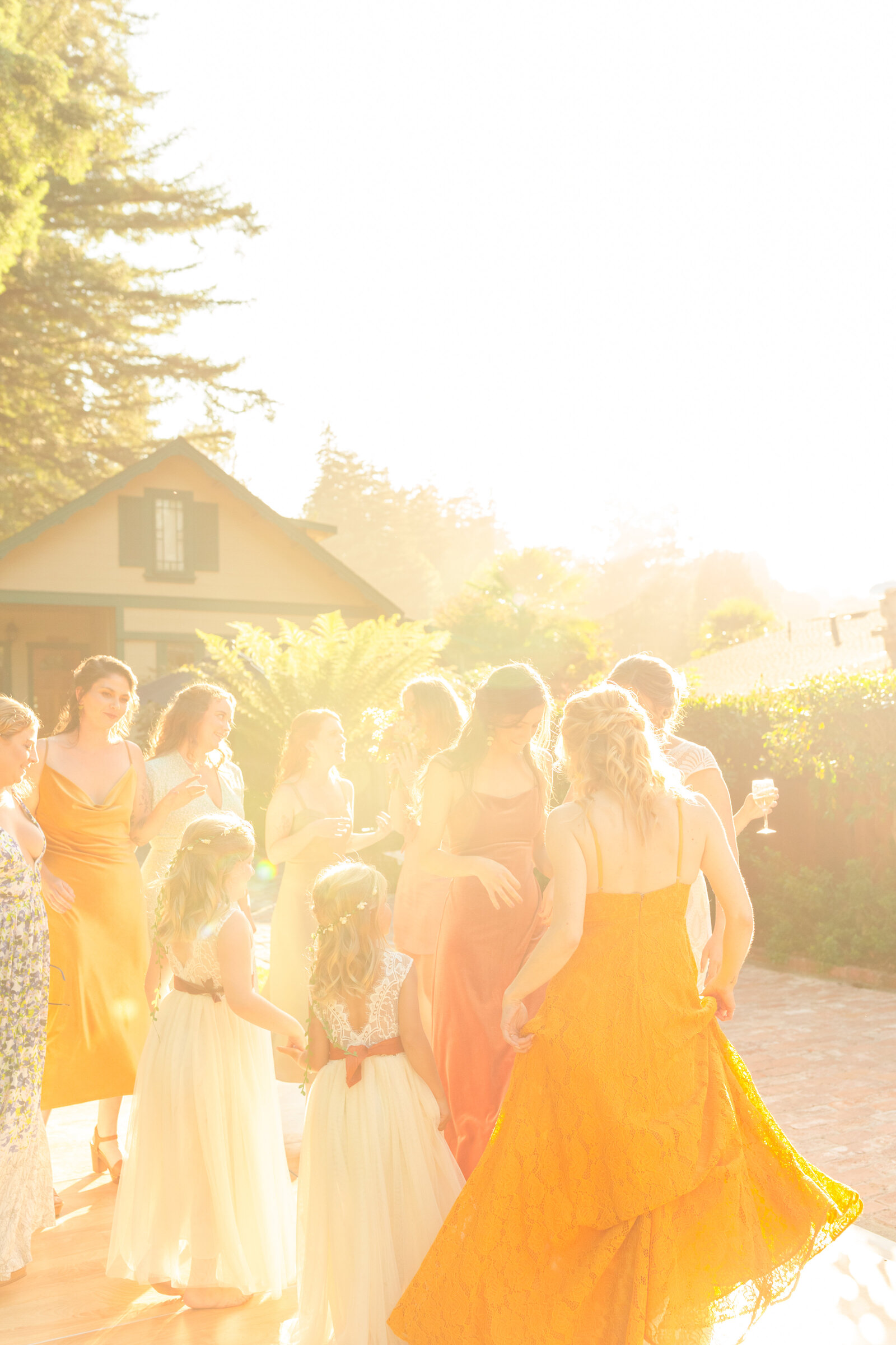 Colorful wedding reception in Santa Cruz, California in the redwood trees.