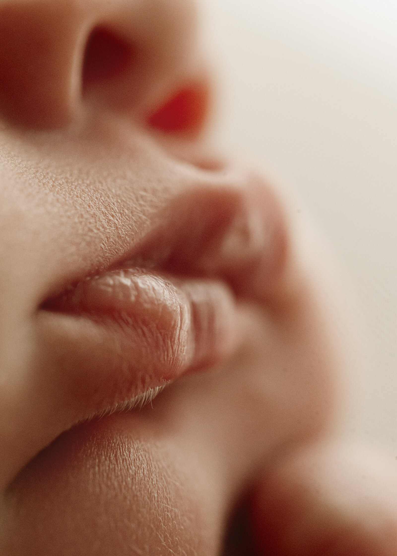 Natural newborn family portraits in a Perth studio – soft, warm, and organic images capturing the love of a growing family.