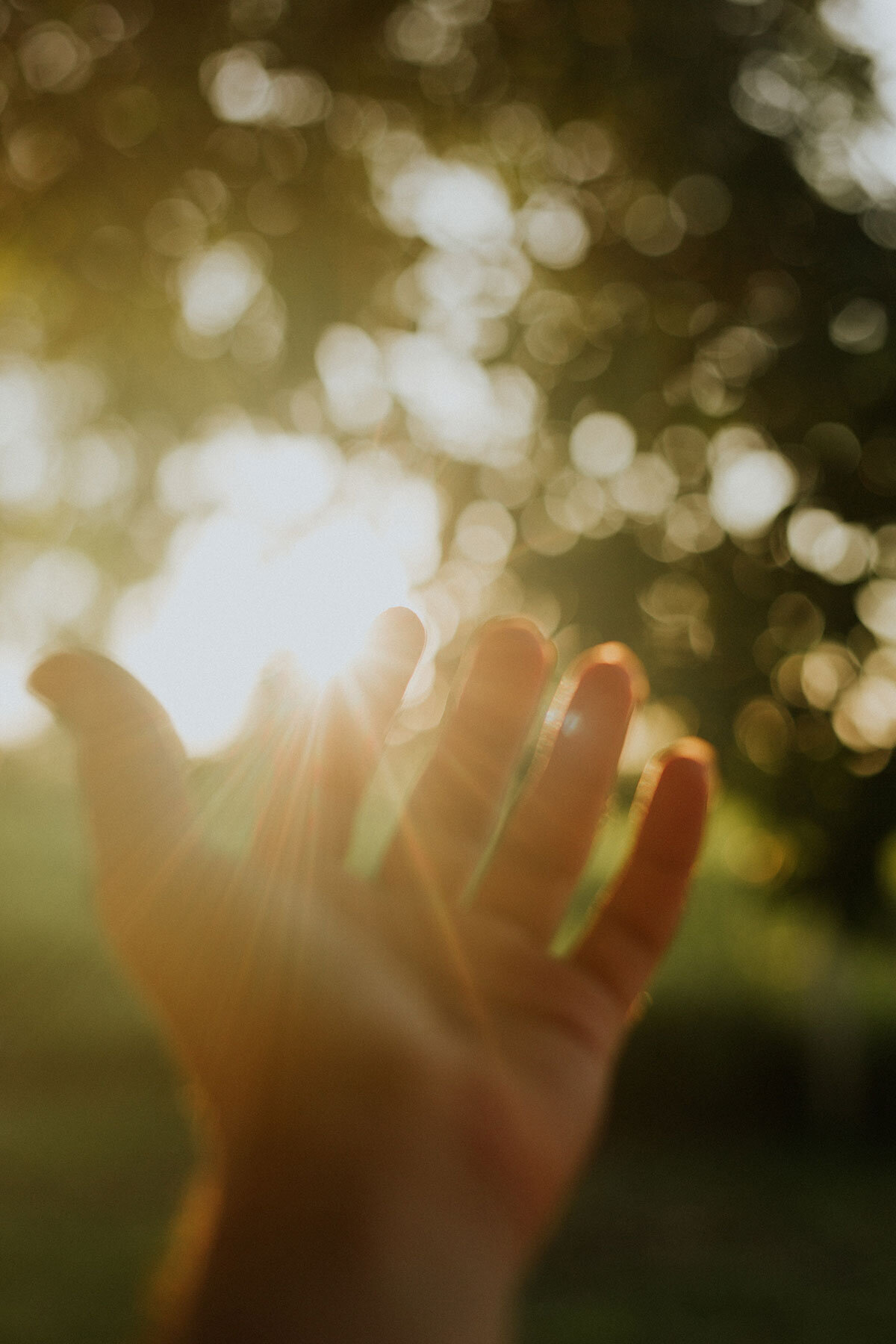 lucas-mendes-9BtyqEMjowo-unsplash
