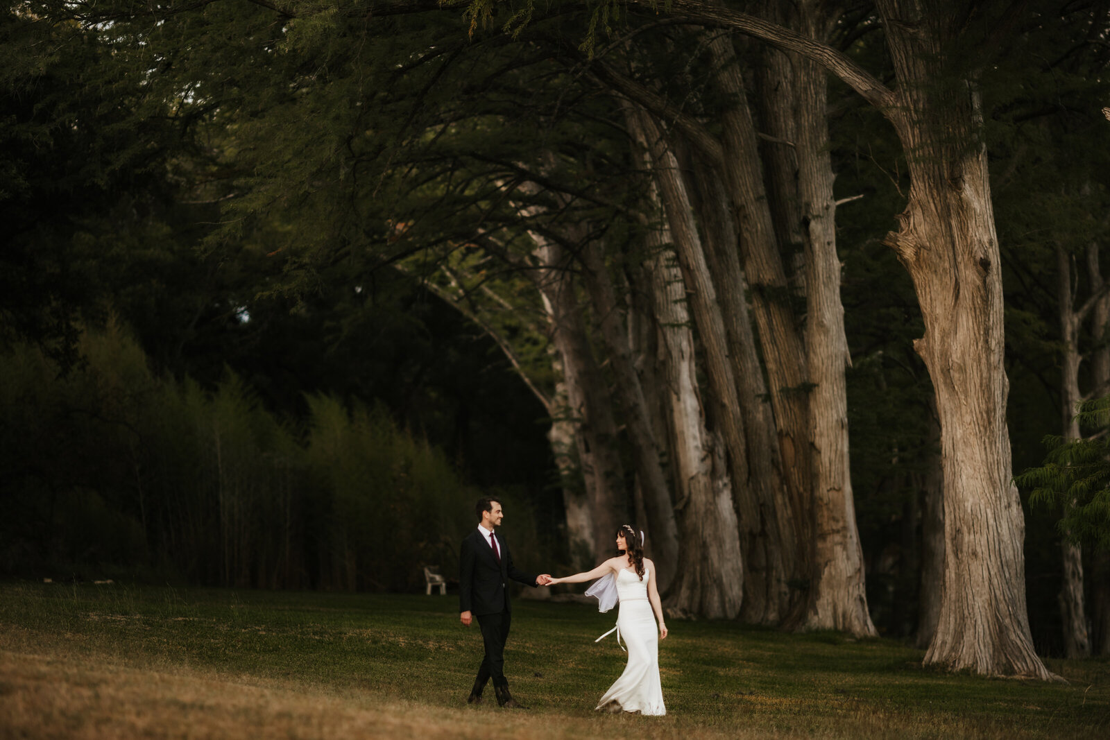 bride-and-groom-with-trees