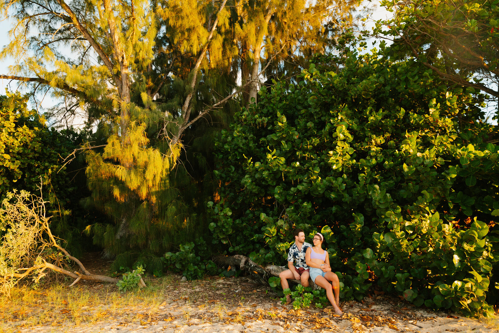 Hawaii Engagement