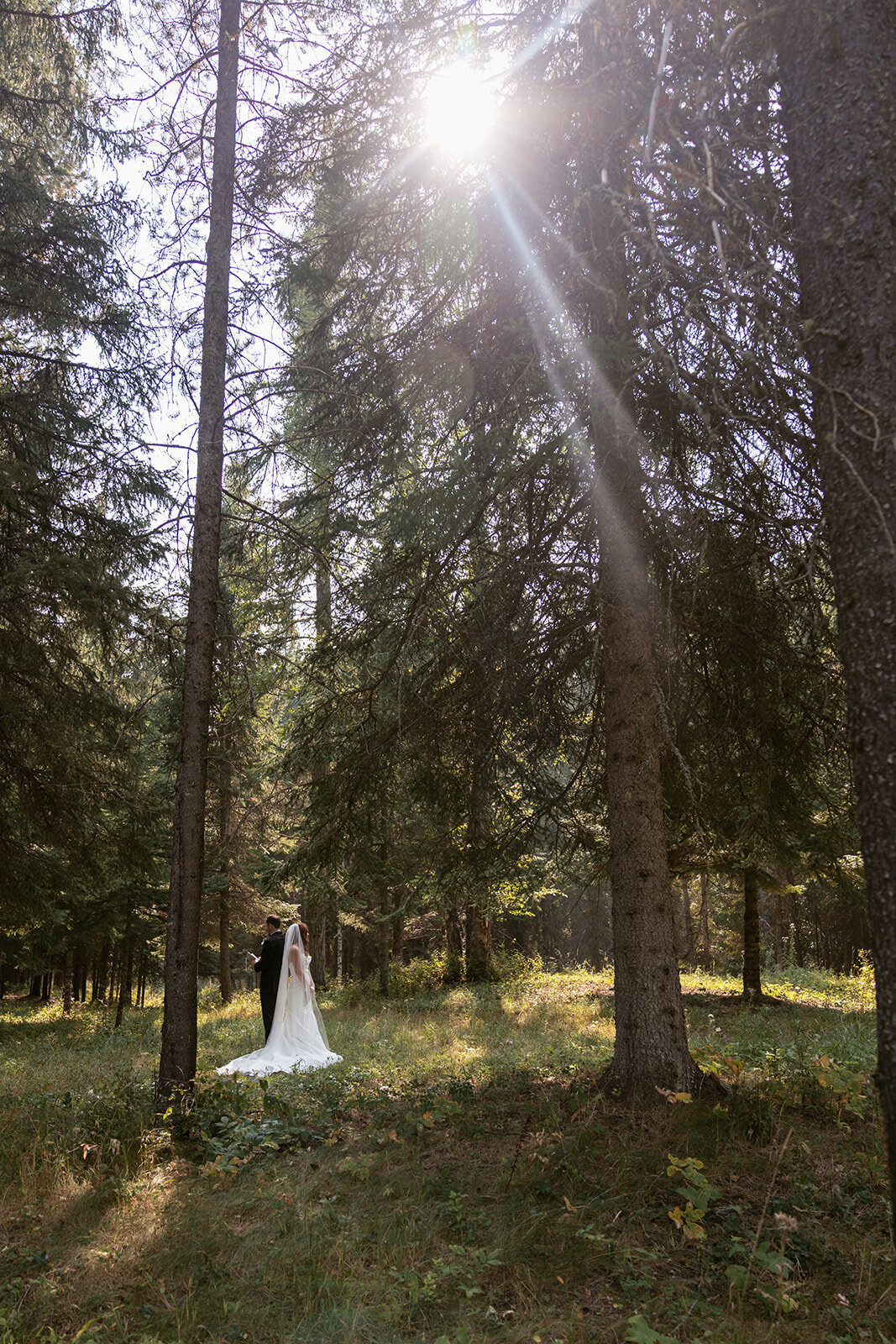 A bride and groom stand together in a quiet forest surrounded by tall pine trees and sunlight streaming through the canopy, captured by Sydney Breann Photography during their Glacier National Park elopement.