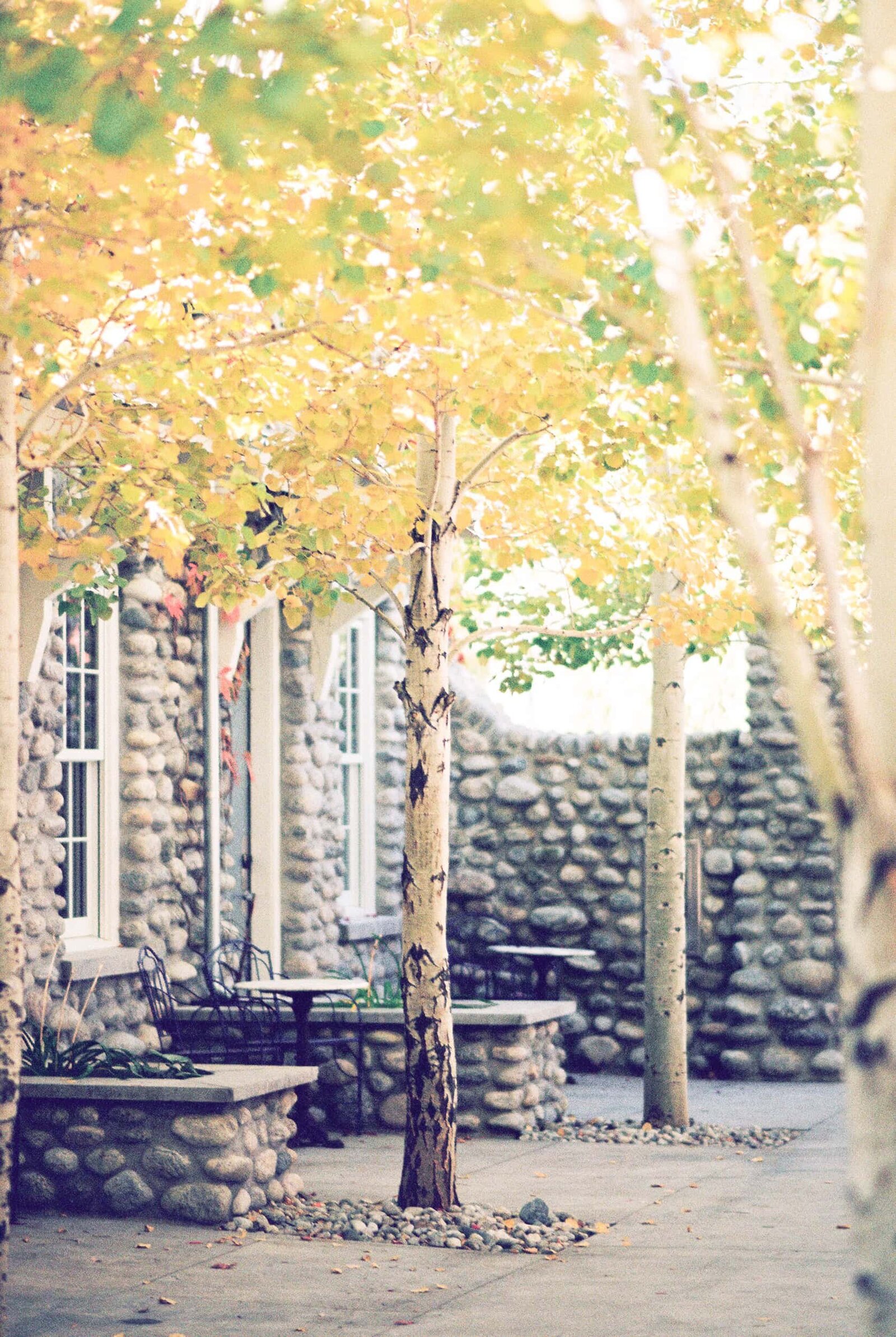 Josie_V_Luxury_Destination_Wedding_photographer-5